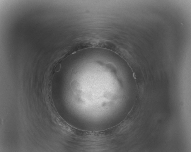 X0000083041105200702091401