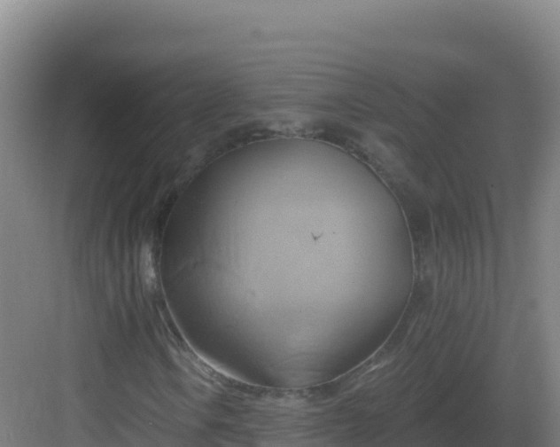 X0000083041106200702091401