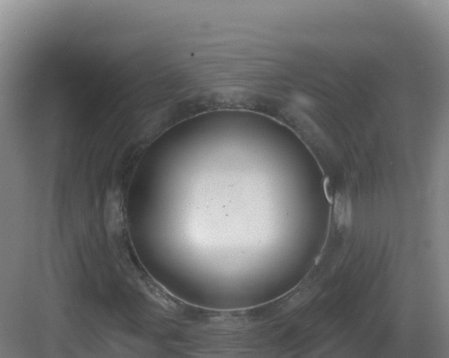 X0000083041107200702091401