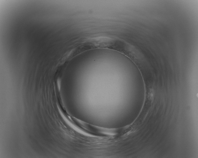 X0000083041108200702091401