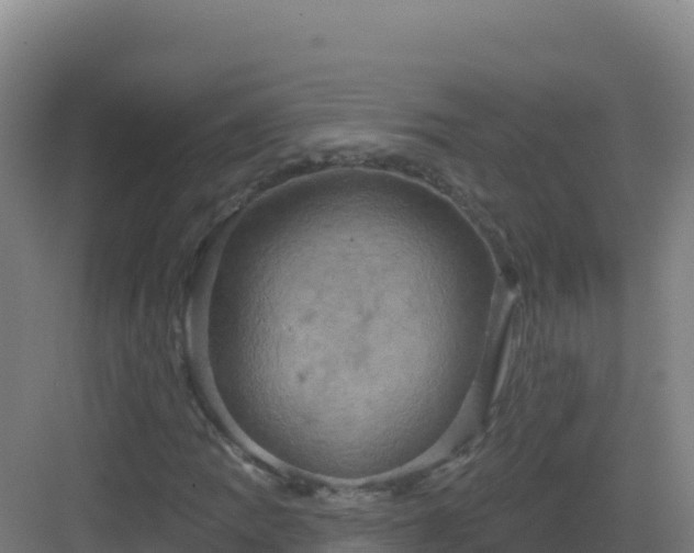 X0000083041109200702091401