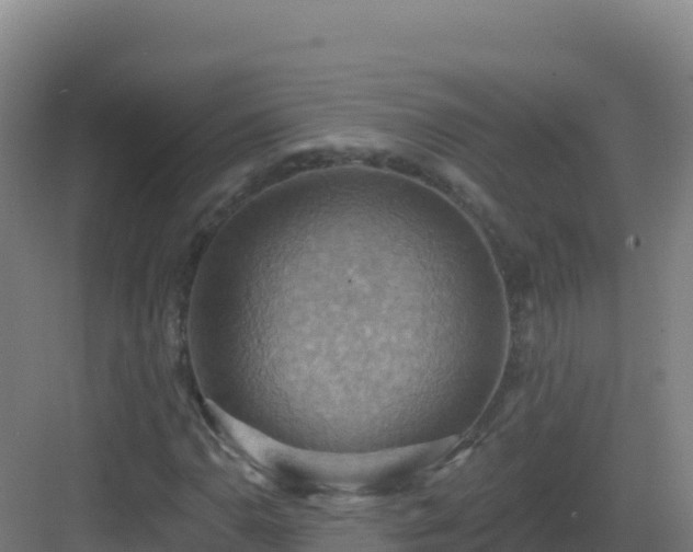 X0000083041110200702091401