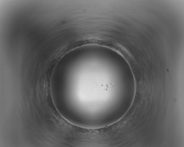 X0000083041111200702091401