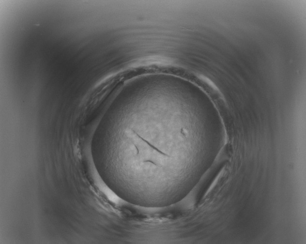 X0000083041112200702091401