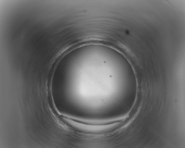 X0000083041113200702091401