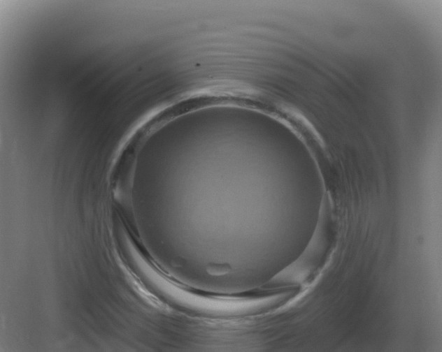 X0000083041114200702091401