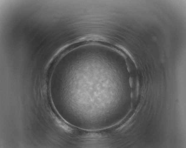 X0000083041115200702091401