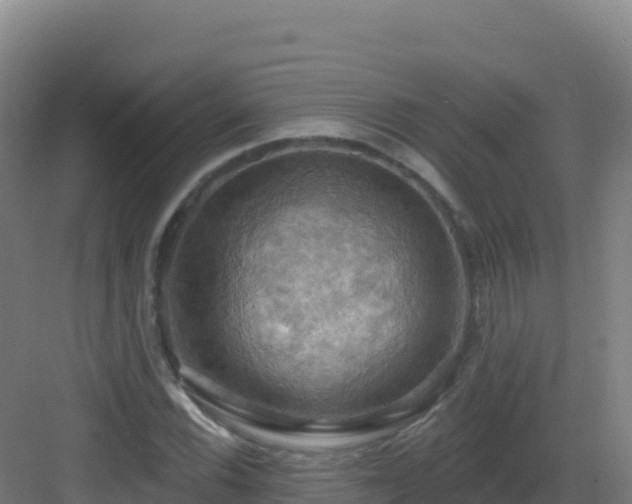 X0000083041116200702091401