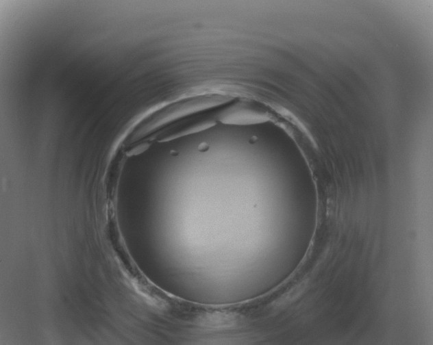 X0000083041117200702091401