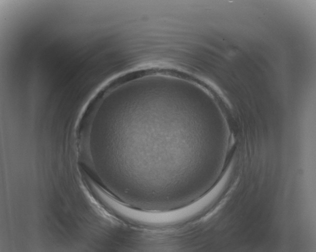 X0000083041118200702091401