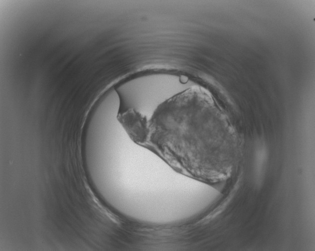 X0000083041121200702091402