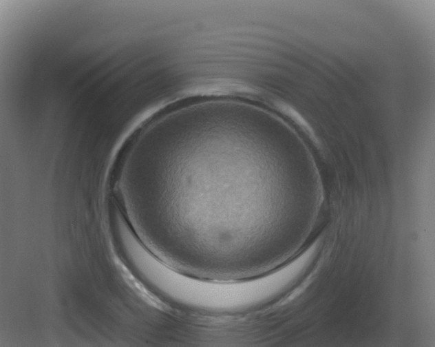 X0000083041122200702091402