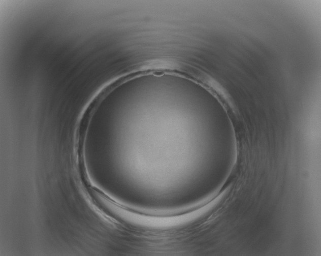 X0000083041124200702091402