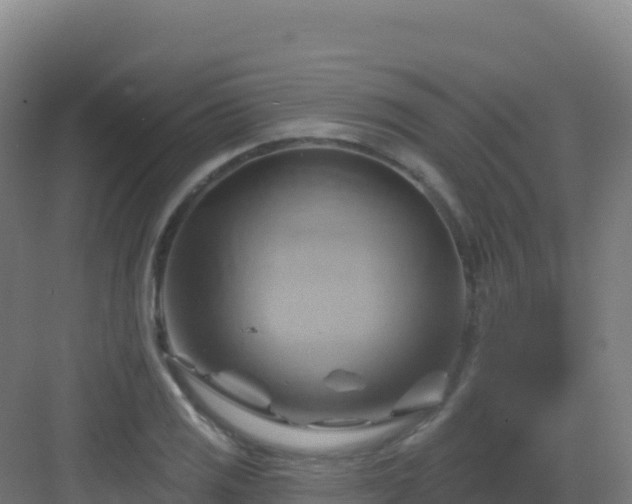 X0000083041125200702091402