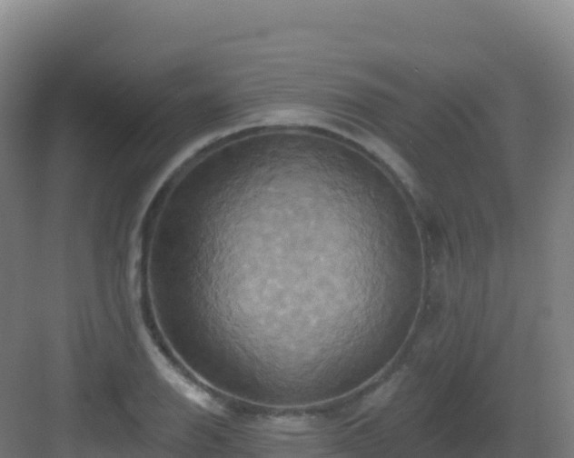 X0000083041126200702091402