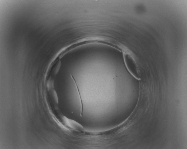 X0000083041127200702091402