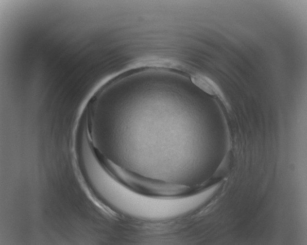 X0000083041128200702091402