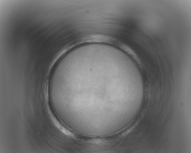 X0000083041130200702091402