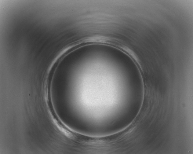 X0000083041131200702091402