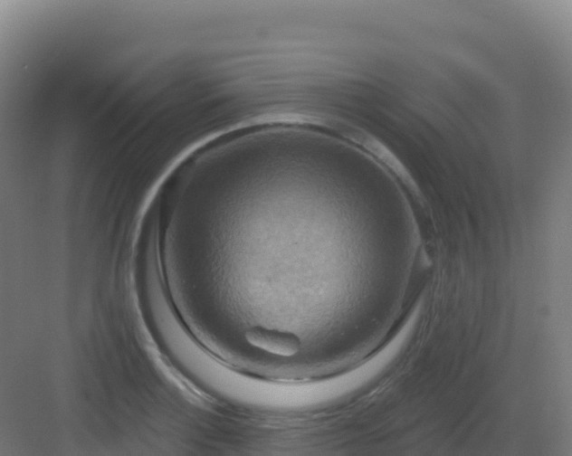 X0000083041132200702091402