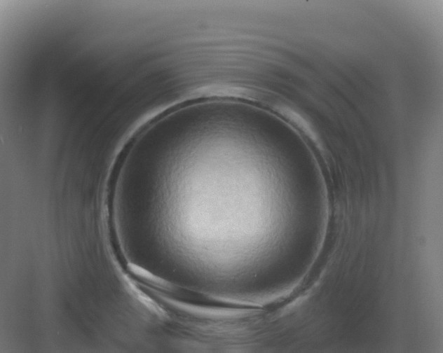 X0000083041133200702091402