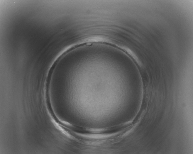 X0000083041134200702091402