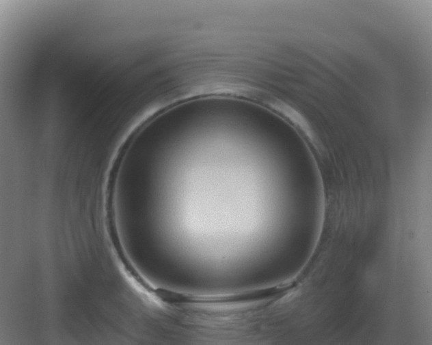 X0000083041135200702091402