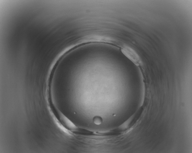 X0000083041136200702091402