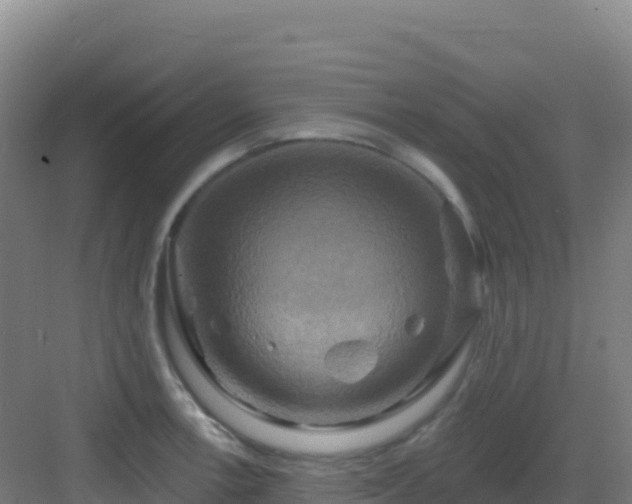 X0000083041138200702091402