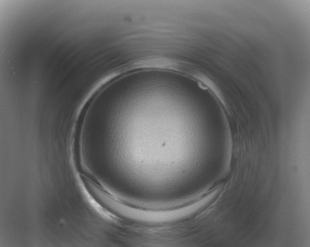 X0000083041139200702091402