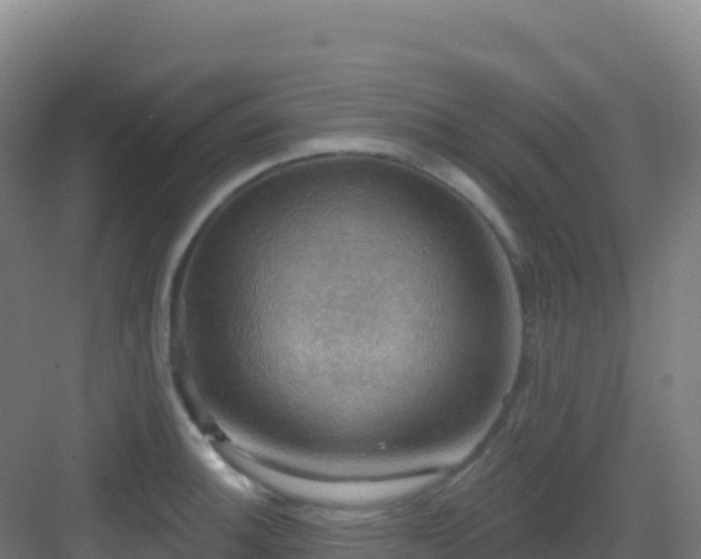 X0000083041140200702091402