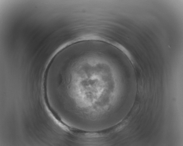 X0000083041142200702091402