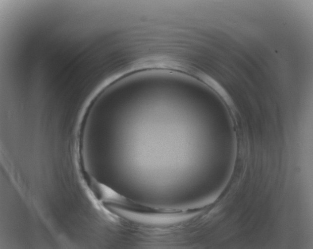 X0000083041144200702091402