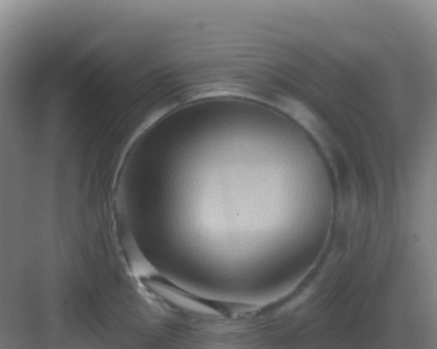 X0000083041145200702091402