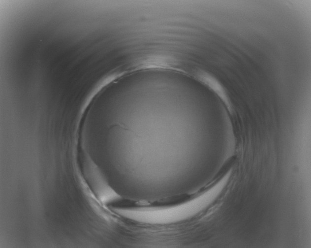 X0000083041146200702091402