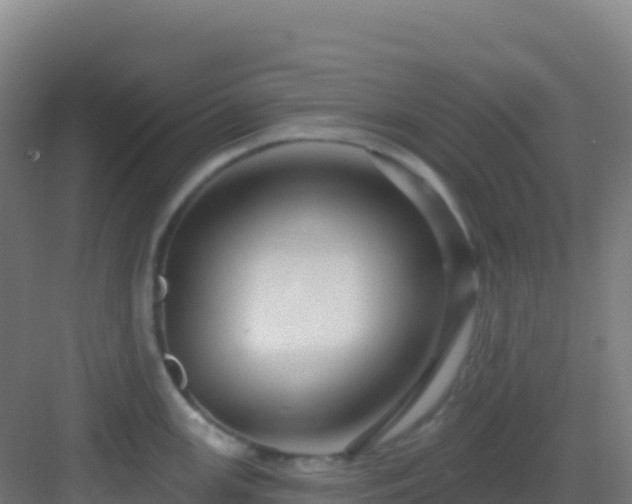 X0000083041147200702091402