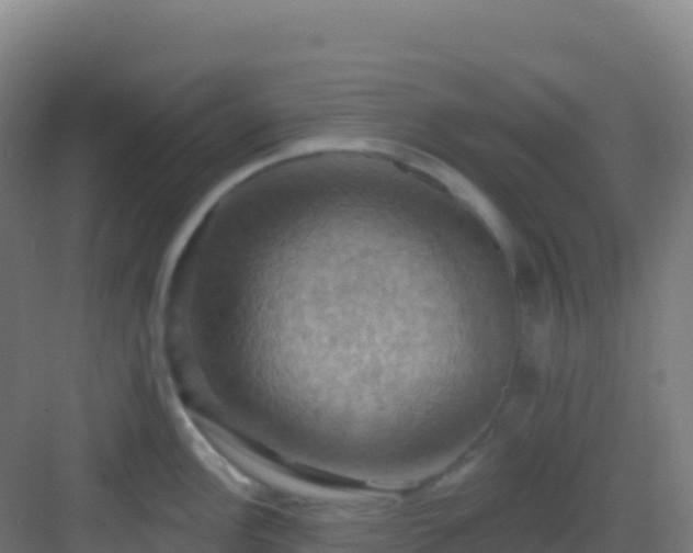 X0000083041148200702091402