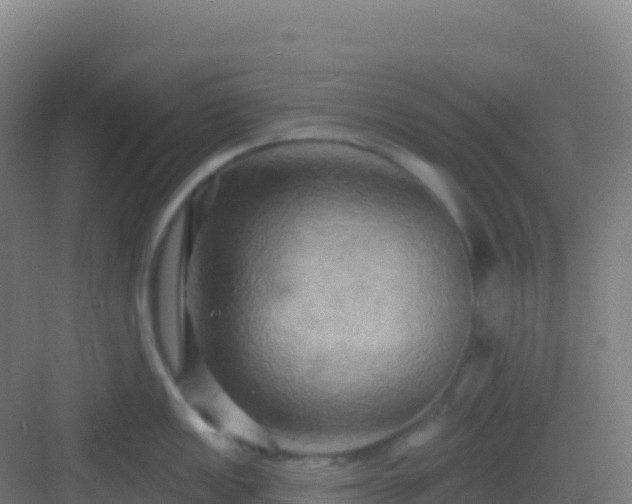 X0000083041149200702091402