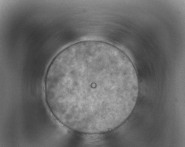 X0000083041150200702091402