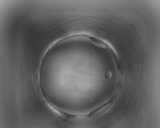 X0000083041151200702091402