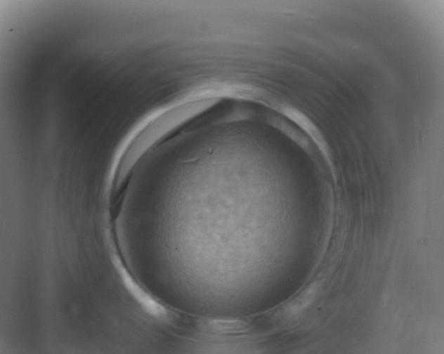 X0000083041152200702091402