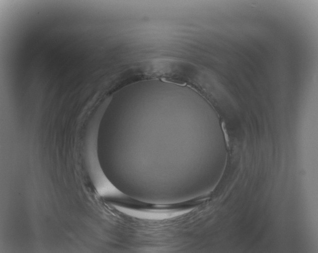 X0000083041153200702091401