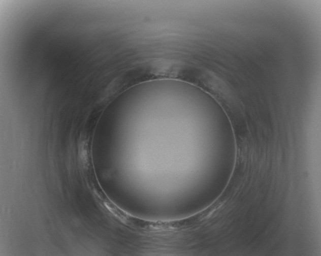 X0000083041154200702091401