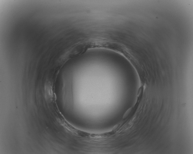 X0000083041155200702091401