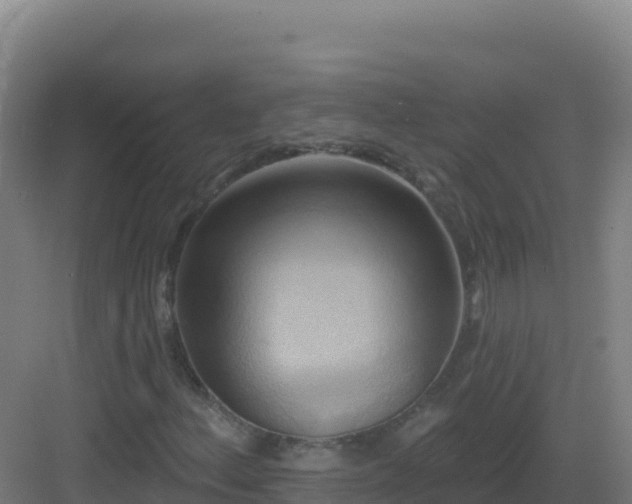 X0000083041156200702091401