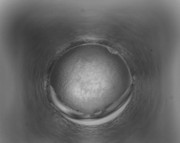 X0000083041157200702091401