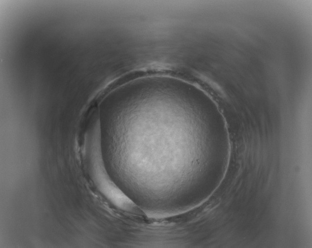 X0000083041160200702091401