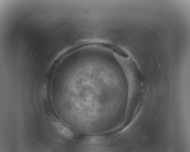 X0000083041163200702091401