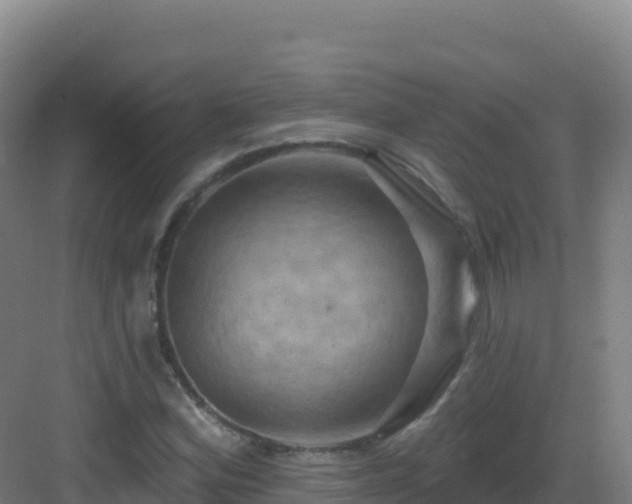 X0000083041164200702091401