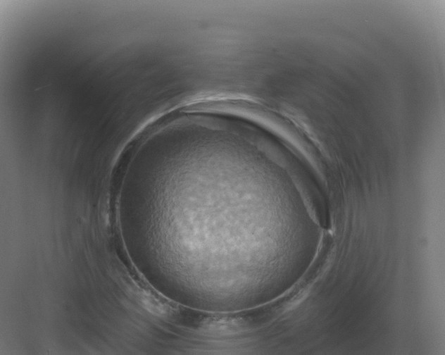 X0000083041165200702091401